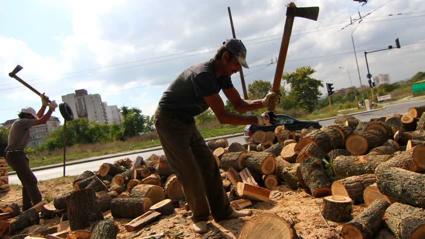 Фото - Еще одна страна запретит вывозить дрова