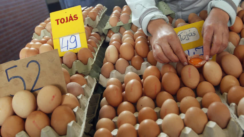 Фото - В Венгрии предупредили о скором подорожании яиц