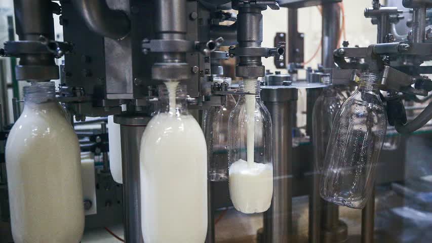 Фото - В России выявили 33 тонны фантомного молока. Его нашли в школах и детских садах